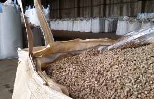 Компания ALB Group Компания ALB Group