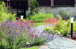 Как привлечь внимание к рокарию или альпинарию с ранней весны