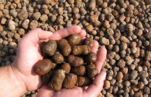 Керамзит – универсальный стройматериал