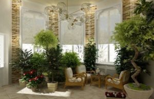 Какие бывают зимние сады