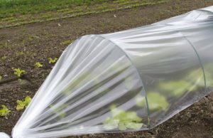 Обзор полиэтиленовой плёнки