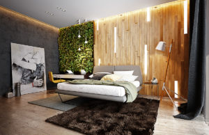 Интерьеры в эко-стиле. Что такое эко?