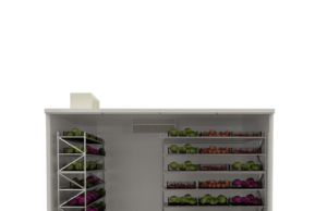 Стоит ли покупать холодильные камеры для овощей и фруктов: что это, необходимые условия, критерии выбора и плюсы холодильных камер