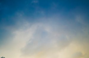 Где приобрести запчасти для комбайна?