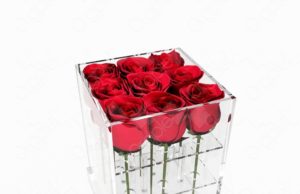 Особенности изделий из оргстекла