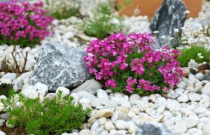 Различные типы камней для вашего газона и ландшафта