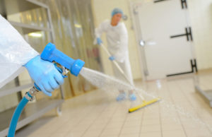 Где заказать дезинфекцию в Воронеже?