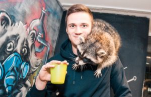 Питомник енотов в Санкт-Петербурге