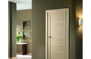 Входные и внутренние двери – что стоит знать