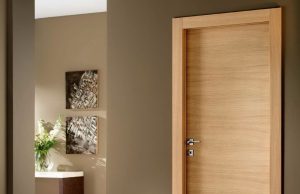 Какая дверь будет лучшей для вашей квартиры?