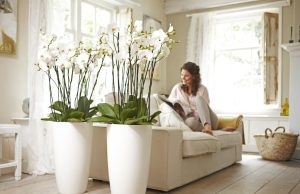 Кашпо или подставки для цветов: для маленьких, для больших, для деревьев