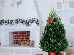 Пихта на Новый Год: украшение дома с ароматом праздника