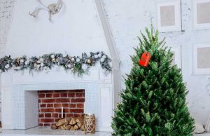 Пихта на Новый Год: украшение дома с ароматом праздника