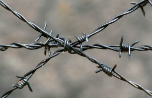 Колючая проволока из металла