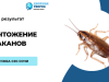 В чем отличие в методах обработки от тараканов между холодным туманом и с помощью помпы