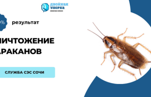 В чем отличие в методах обработки от тараканов между холодным туманом и с помощью помпы