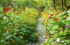Эффективные методы благоустройства территории: парочка советов https://ru.freepik.com/free-photo/narrow-pathway-in-a-garden-surrounded-by-a-lot-of-colorful-flowers_10119383.htm#fromView=search&page=1&position=4&uuid=d3f7bfbe-b92a-4d29-9e40-4454df615a6c