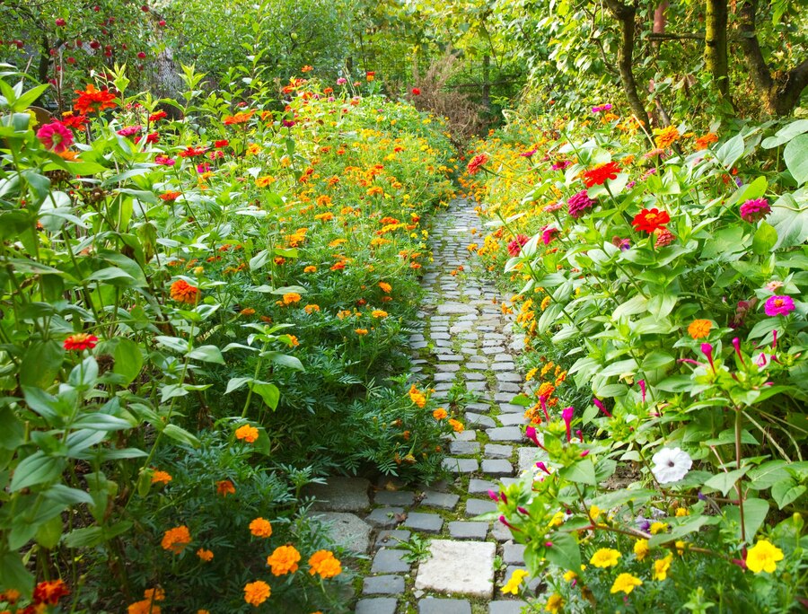 https://ru.freepik.com/free-photo/narrow-pathway-in-a-garden-surrounded-by-a-lot-of-colorful-flowers_10119383.htm#fromView=search&page=1&position=4&uuid=d3f7bfbe-b92a-4d29-9e40-4454df615a6c