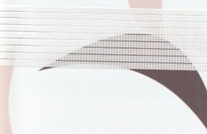 Рольшторы зебра: стильное решение для вашего интерьера