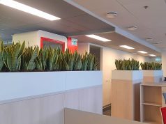 Флористическое оформление офиса: красота и свежесть