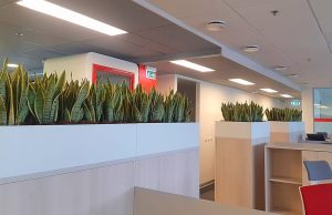 Флористическое оформление офиса: красота и свежесть