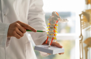 Заболевания позвоночника: обзор патологий