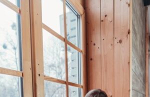 Деревянные Окна с Теплыми Стеклопакетами: Путь к Энергоэффективности и Комфорту