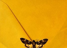 Триллер фильмы: особенности жанра и представители