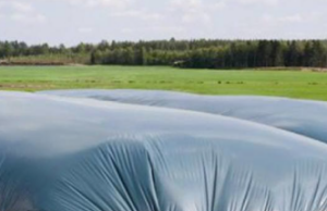 Силосная пленка: что это, какие существуют виды и как выбрать качественную продукцию