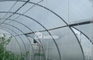 Парники из поликарбоната: плюсы и особенности