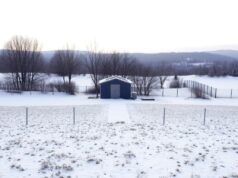 Расчистка участка под весеннее строительство: почему работы стоит провести до морозов